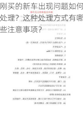 刚买的新车出现问题如何处理？这种处理方式有哪些注意事项？-第1张图片-