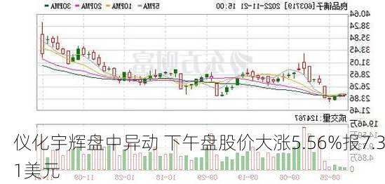 仪化宇辉盘中异动 下午盘股价大涨5.56%报7.31美元-第1张图片-