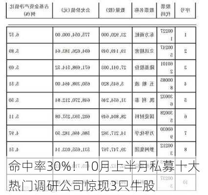 命中率30%！10月上半月私募十大热门调研公司惊现3只牛股-第2张图片-