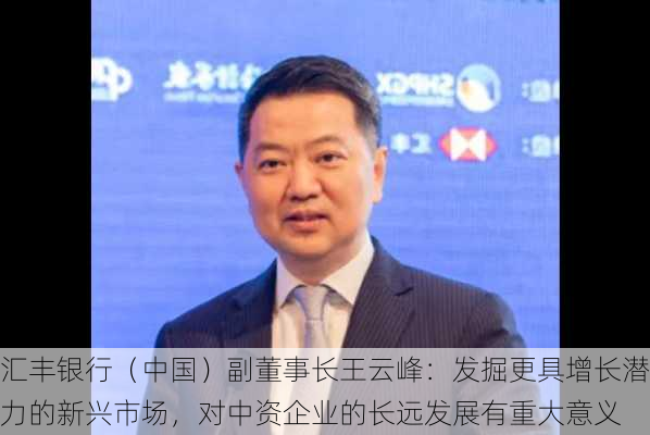 汇丰银行（中国）副董事长王云峰：发掘更具增长潜力的新兴市场，对中资企业的长远发展有重大意义-第3张图片-