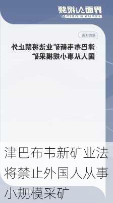 津巴布韦新矿业法将禁止外国人从事小规模采矿-第1张图片-