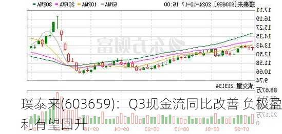 璞泰来(603659)：Q3现金流同比改善 负极盈利有望回升