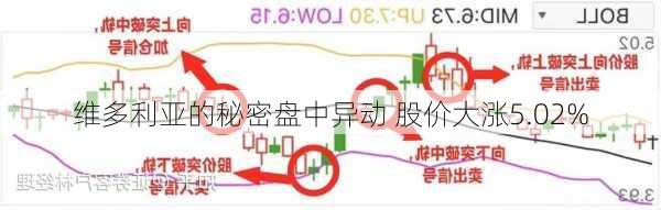 维多利亚的秘密盘中异动 股价大涨5.02%-第1张图片-