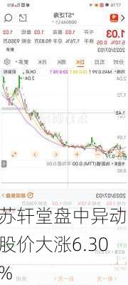 苏轩堂盘中异动 股价大涨6.30%-第1张图片-