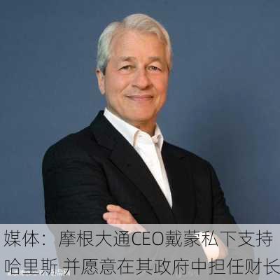 媒体：摩根大通CEO戴蒙私下支持哈里斯 并愿意在其政府中担任财长