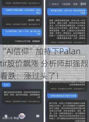 “AI信仰”加持下Palantir股价飙涨 分析师却强烈看跌：涨过头了！