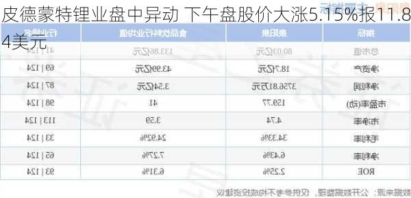 皮德蒙特锂业盘中异动 下午盘股价大涨5.15%报11.84美元-第2张图片-