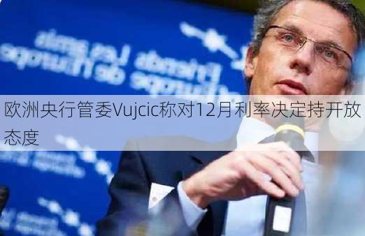 欧洲央行管委Vujcic称对12月利率决定持开放态度-第1张图片-