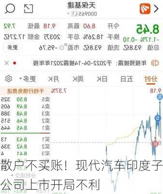 散户不买账！现代汽车印度子公司上市开局不利-第1张图片-