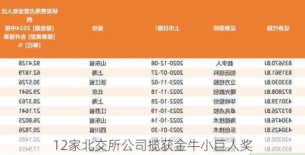 12家北交所公司揽获金牛小巨人奖-第3张图片-