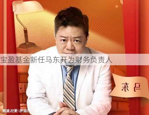 宝盈基金新任马东开为财务负责人-第2张图片-