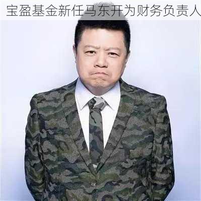 宝盈基金新任马东开为财务负责人-第3张图片-