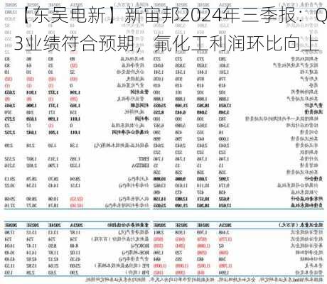 【东吴电新】新宙邦2024年三季报：Q3业绩符合预期，氟化工利润环比向上-第1张图片-