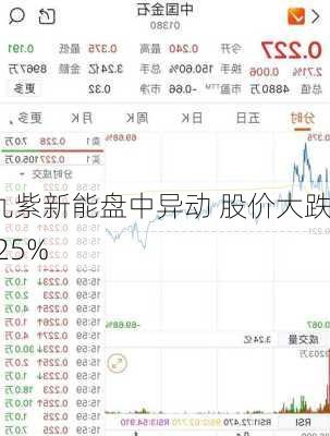 九紫新能盘中异动 股价大跌6.25%