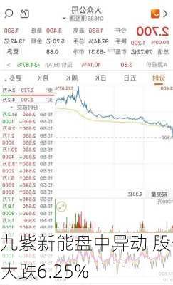 九紫新能盘中异动 股价大跌6.25%-第2张图片-