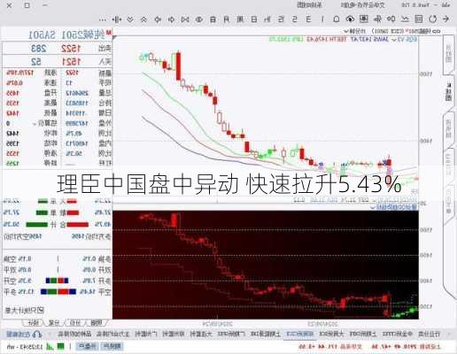 理臣中国盘中异动 快速拉升5.43%