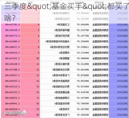 三季度"基金买手"都买了啥？-第2张图片-