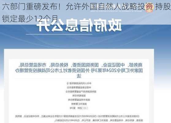 六部门重磅发布！允许外国自然人战略投资 持股锁定最少12个月-第2张图片-