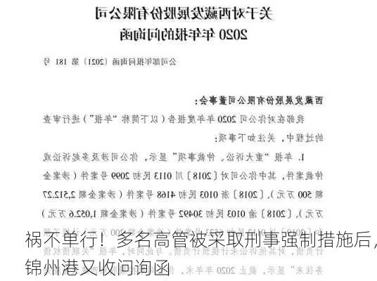 祸不单行！多名高管被采取刑事强制措施后，锦州港又收问询函-第3张图片-