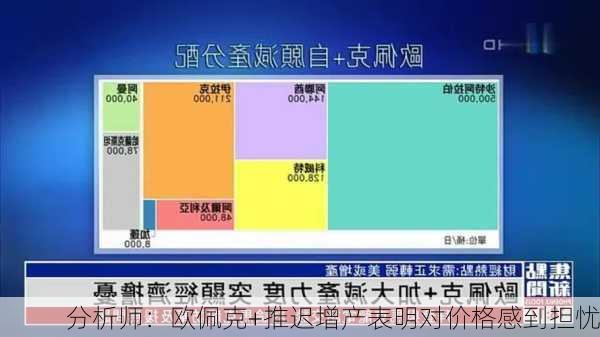 分析师：欧佩克+推迟增产表明对价格感到担忧