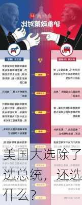 美国大选除了选总统，还选什么？-第1张图片-