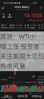 原油：WTI小幅上涨 投资者关注美国大选和热带风暴-第2张图片-