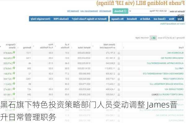 黑石旗下特色投资策略部门人员变动调整 James晋升日常管理职务-第3张图片-