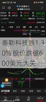 泰勒科技跌1.30% 股价跌破600美元大关-第1张图片-