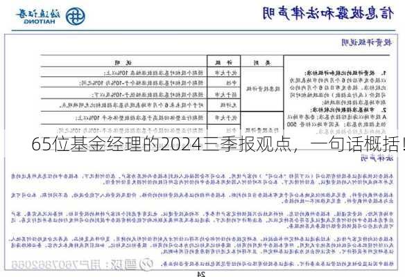 65位基金经理的2024三季报观点，一句话概括！-第2张图片-