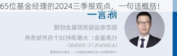 65位基金经理的2024三季报观点，一句话概括！-第1张图片-