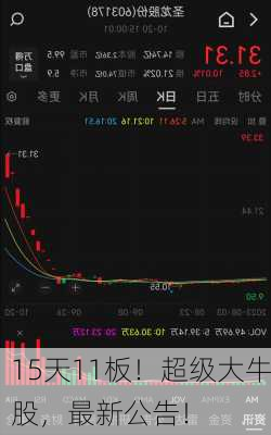 15天11板！超级大牛股，最新公告！-第3张图片-