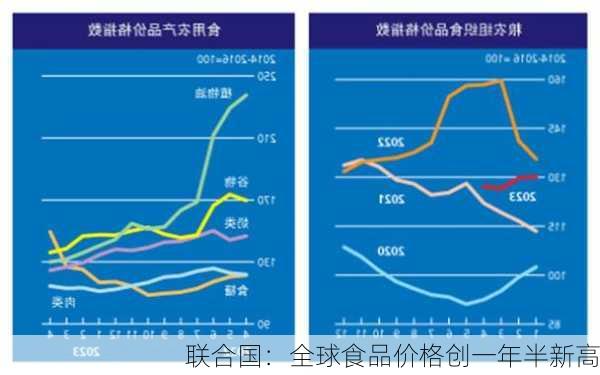 联合国：全球食品价格创一年半新高-第2张图片-