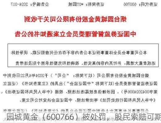 园城黄金（600766）被处罚，股民索赔可期-第1张图片-