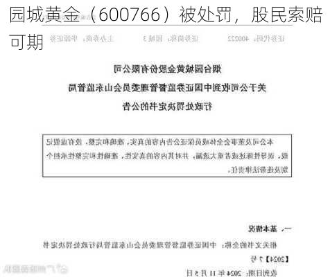 园城黄金（600766）被处罚，股民索赔可期-第2张图片-