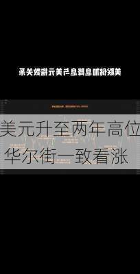 美元升至两年高位 华尔街一致看涨-第2张图片-