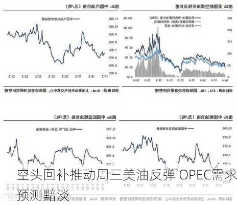 空头回补推动周三美油反弹 OPEC需求预测黯淡