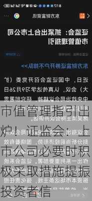 市值管理指引出炉！证监会：上市公司必要时积极采取措施提振投资者信