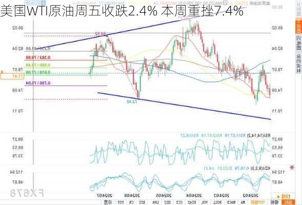 美国WTI原油周五收跌2.4% 本周重挫7.4%