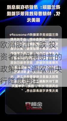 欧洲股市下跌 投资者担忧特朗普的政策并下调欧洲央行降息押注-第2张图片-