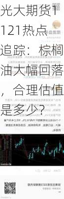 光大期货1121热点追踪：棕榈油大幅回落，合理估值是多少？