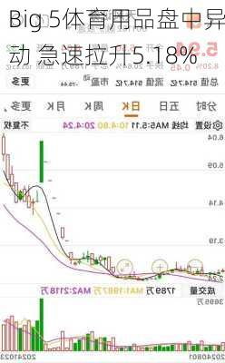 Big 5体育用品盘中异动 急速拉升5.18%