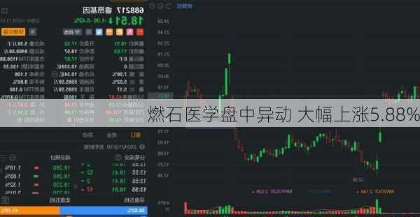 燃石医学盘中异动 大幅上涨5.88%