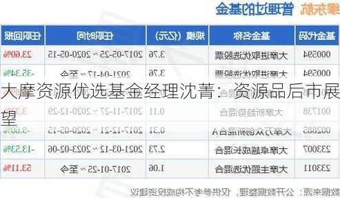 大摩资源优选基金经理沈菁：资源品后市展望-第3张图片-