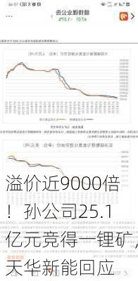 溢价近9000倍！孙公司25.1亿元竞得一锂矿，天华新能回应