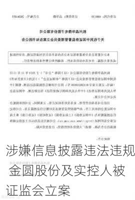 涉嫌信息披露违法违规 金圆股份及实控人被证监会立案-第3张图片-