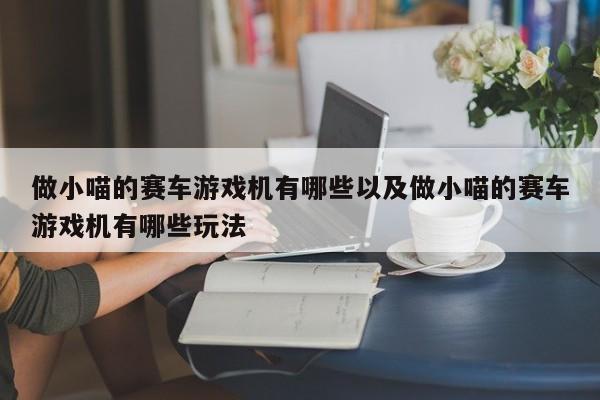 做小喵的赛车游戏机有哪些以及做小喵的赛车游戏机有哪些玩法